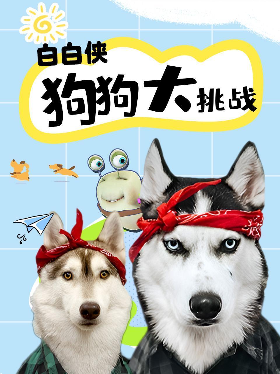 白白侠狗狗大挑战