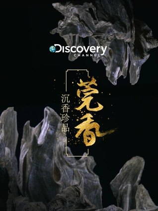 Discovery沉香珍品 莞香