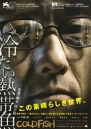 高清视频在线观看